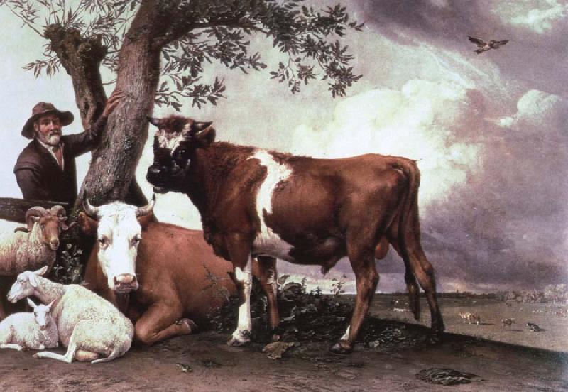 POTTER, Paulus the bull China oil painting art